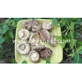 Top Sale 3-4cm Thin Tea Flower Mushroom Vegetable